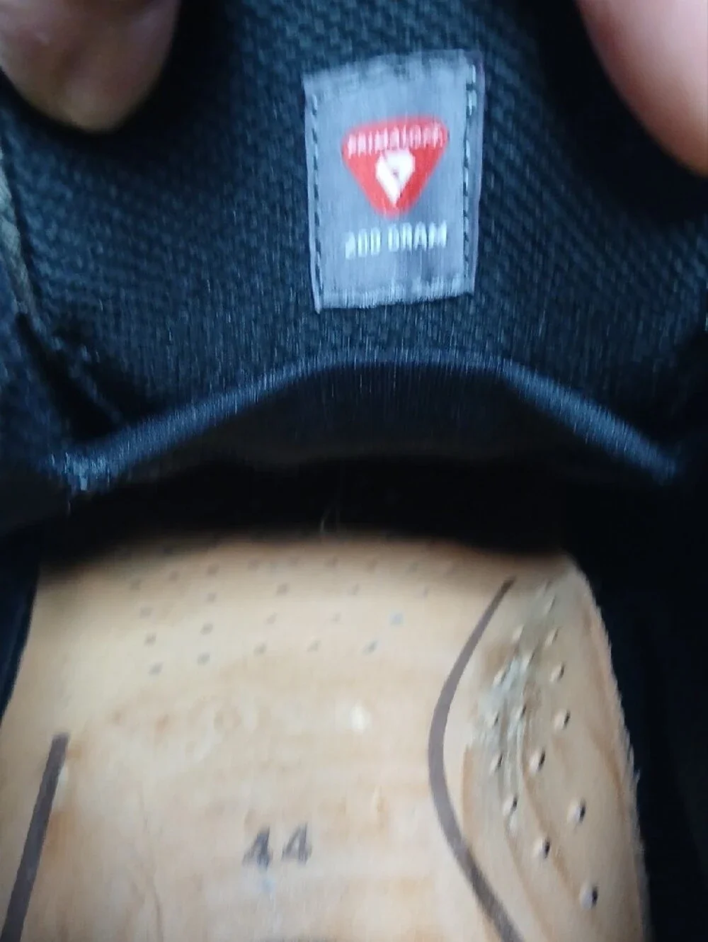 Ecco hiking gore